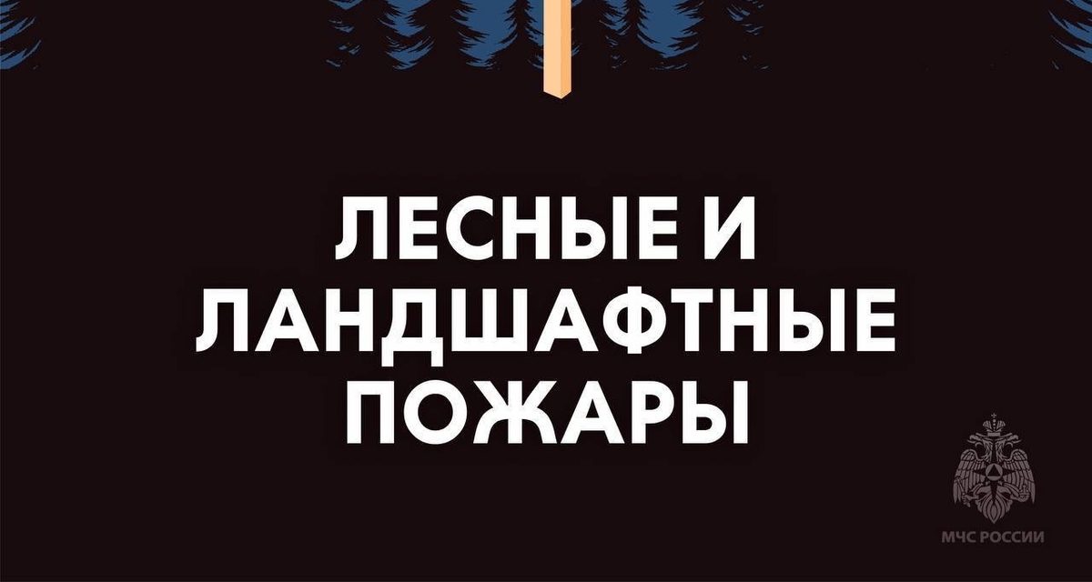 В двух районах Якутии держится чрезвычайная лесопожарная опасность — в леса заходить запрещено