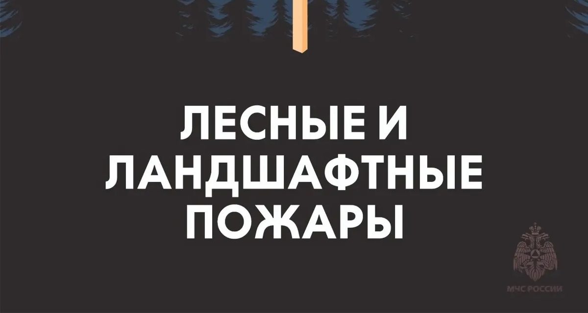 В четырех районах Якутии сохраняется высокая пожароопасность леса